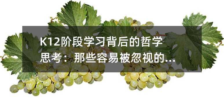 K12׶ѧϰѧ˼Щױӵ֪ʶ