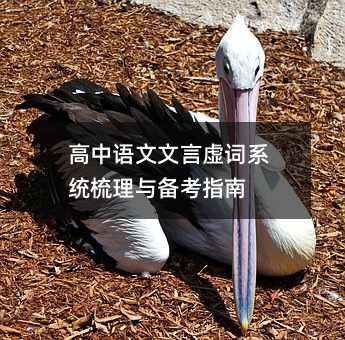 高中语文文言虚词系统梳理与备考指南