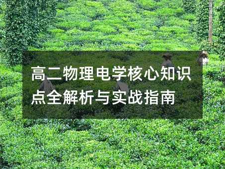 级物理电学核心要点全分析与实战指南