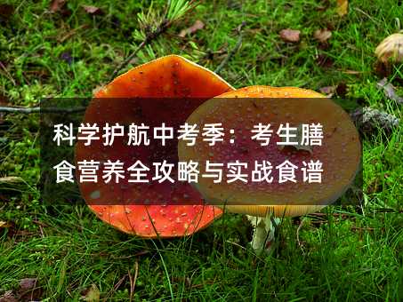 ѧпʳӪȫʵսʳ