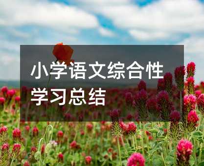 小学语文综合性学习总结
