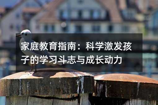 家庭教育指南:科学激发孩子的学习斗志与成长动力