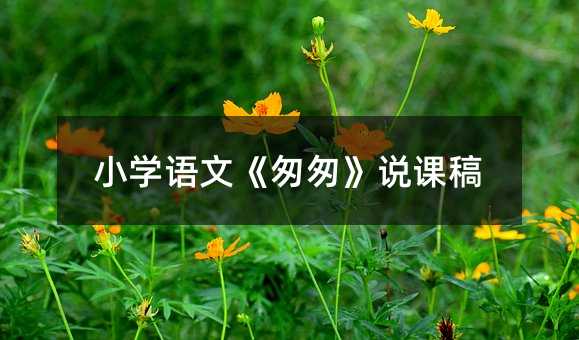 小学语文《匆匆》说课稿