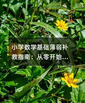 小学数学基础薄弱补救指南:从零开始,重塑数学思维