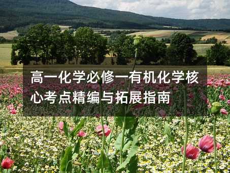 高一化学必修一有机化学核心考点精编与拓展指南