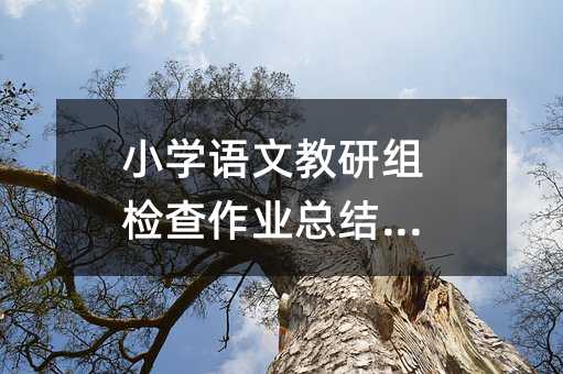 小学语文教研组检查作业总结范文