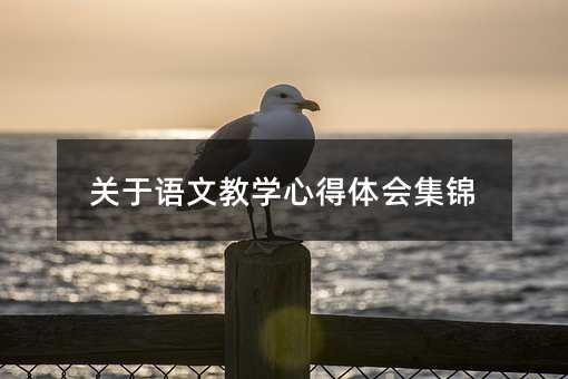 关于语文教学心得体会集锦