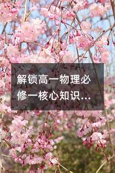 级物理必学一核心要点：参考系与质点的奥秘