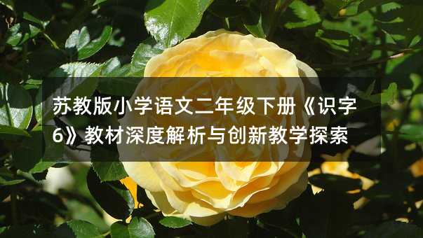 苏教版小学语文二年级下册《识字6》教材深度解析与创新教学探索