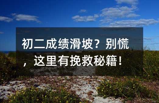 初二成绩滑坡?别慌,这里有挽救秘籍!