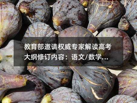 教育部邀请权威专家解读高考大纲修订内容:语文/数学/物理