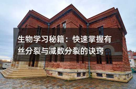 生物学习秘籍:快速掌握有丝分裂与减数分裂的诀窍