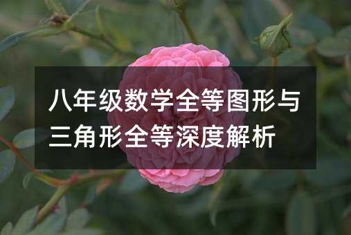 八年级数学全等图形与三角形全等深度解析