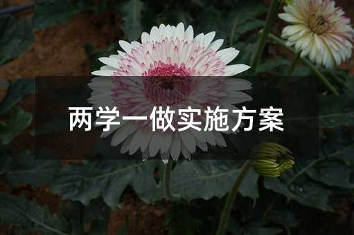 两学一做实施方案