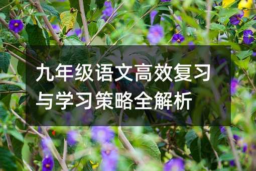 꼶ĸЧϰѧϰȫ