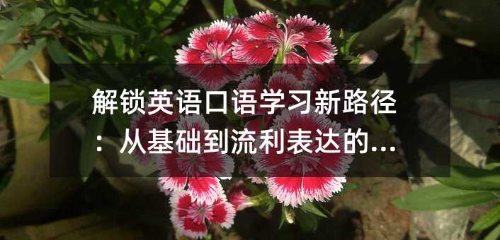 Ӣѧϰ·ӻؾ