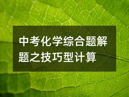中考化学综合题解题之技巧型计算