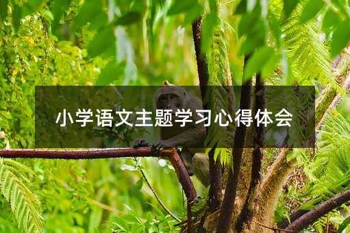 小学语文主题学习心得体会