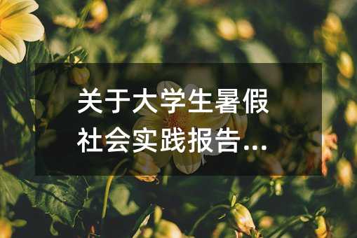 关于大学生暑假社会实践报告范文