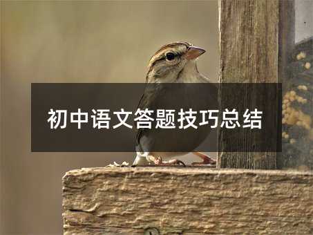 初中语文答题技巧总结