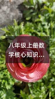 八年级上册数学核心知识点深度解析:平均数、众数与中位数