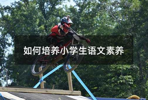 如何培养小学生语文素养