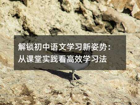 解锁初中语文学习新姿势:从课堂实践看高效学习法