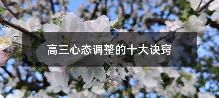 高三心态调整的十大诀窍