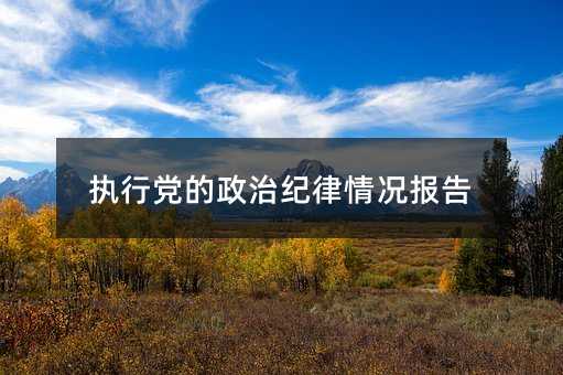 执行党的政治纪律情况报告