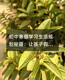 初中寒假学习生活规划秘籍:让孩子假期弯道超车