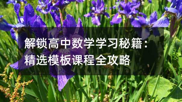 解锁高中数学学习秘籍:精选模板课程全攻略