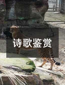 ʫ