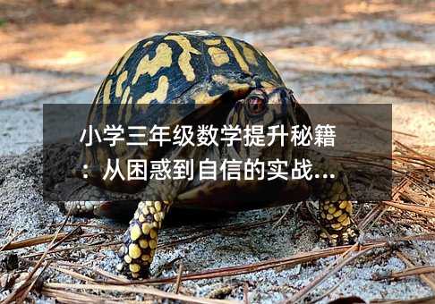 小学三年级数学提升秘籍:从困惑到自信的实战攻略