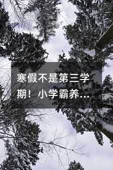 寒假不是第三学期!小学霸养成计划这样安排,孩子主动学习不费妈