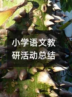 小学语文教研活动总结