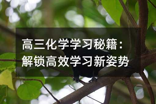高三化学学习秘籍:解锁高效学习新姿势