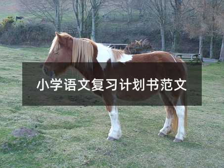 Сѧĸϰƻ鷶