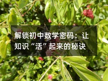 解锁初中数学密码:让知识“活”起来的秘诀