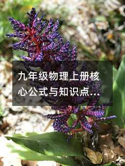 九年级物理上册核心公式与知识点全解析