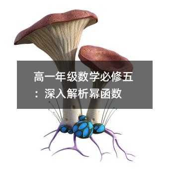 高一年级数学必修五:深入解析幂函数