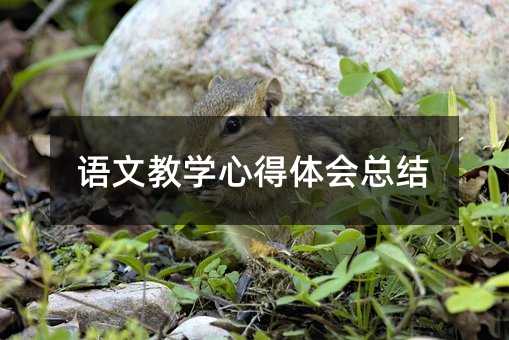 语文教学心得体会总结