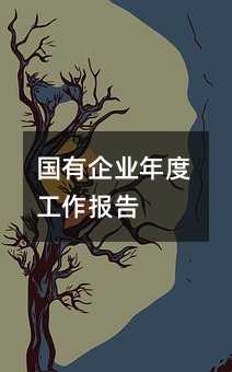 国有企业年度工作报告