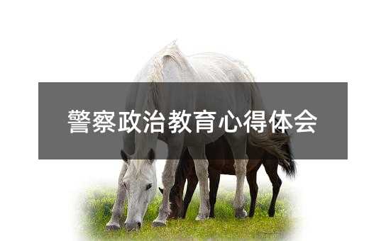 警察政治教育心得体会