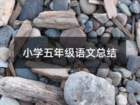小学五年级语文总结