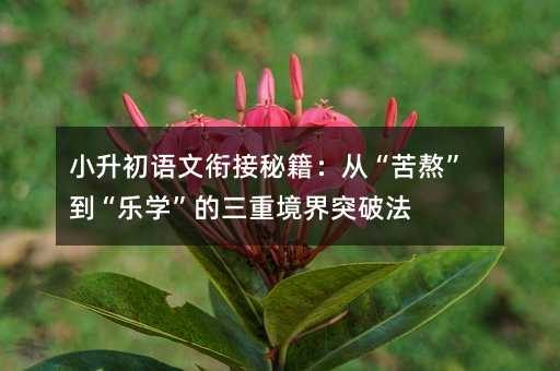 小升初语文衔接秘籍:从“苦熬”到“乐学”的三重境界突破法
