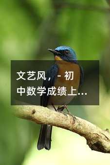 初中数学成绩上升,是否有独特妙法可寻?