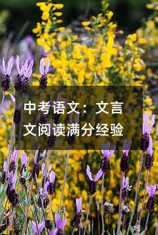 中考语文:文言文阅读满分经验