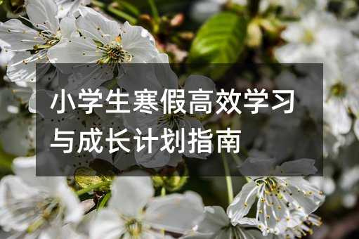 小学生寒假高效学习与成长计划指南