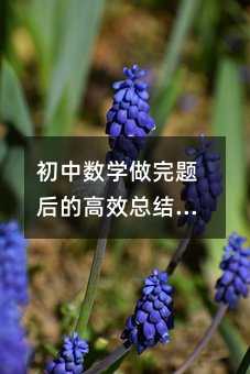 初中数学做完题后的高效总结秘籍:解锁学习新境界