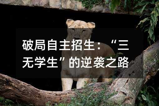 破局自主招生:“三无学生”的逆袭之路